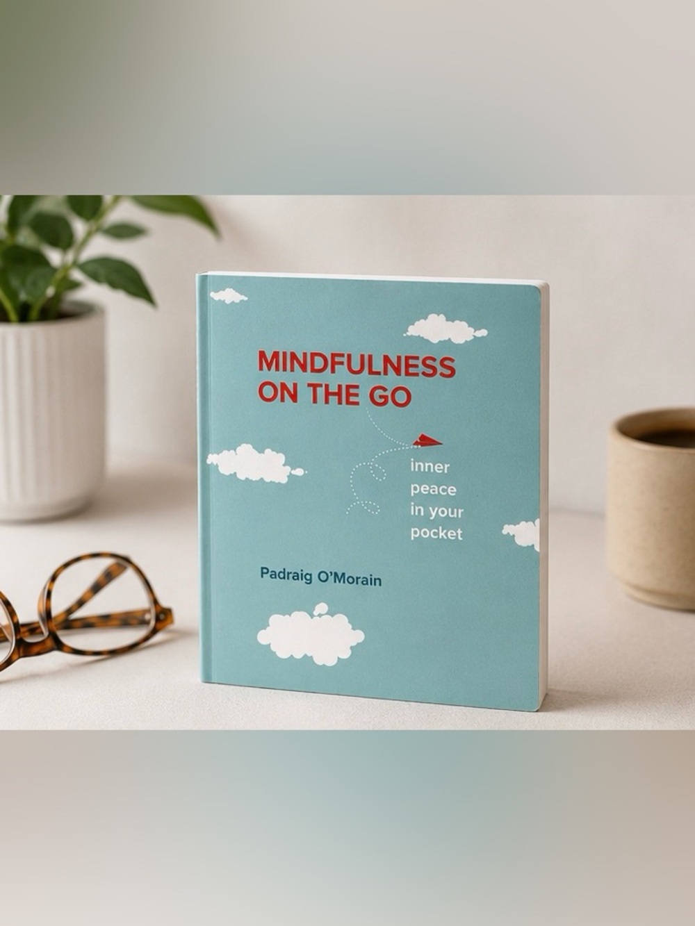 Mindfulness On The Go Book